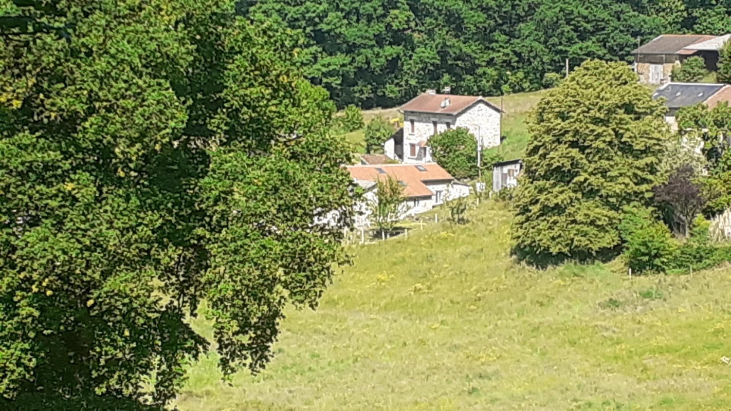 photo 0