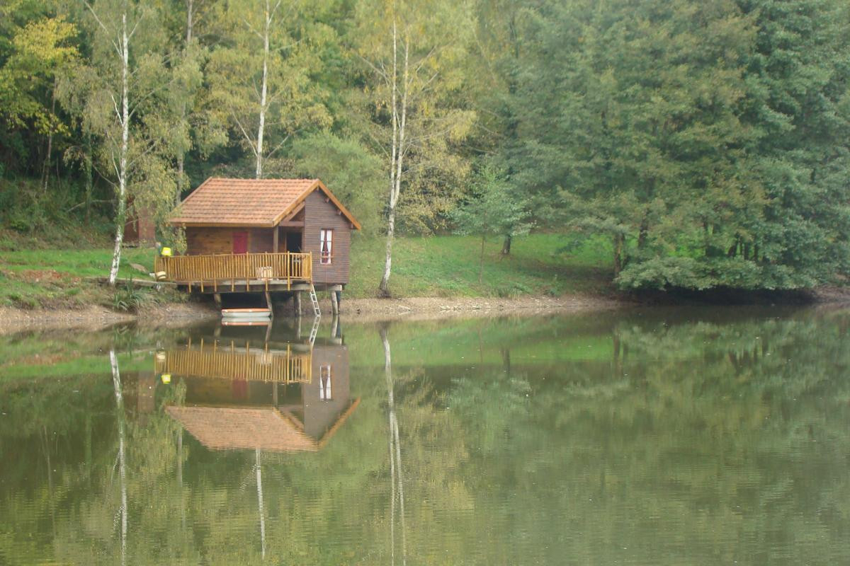 photo 0