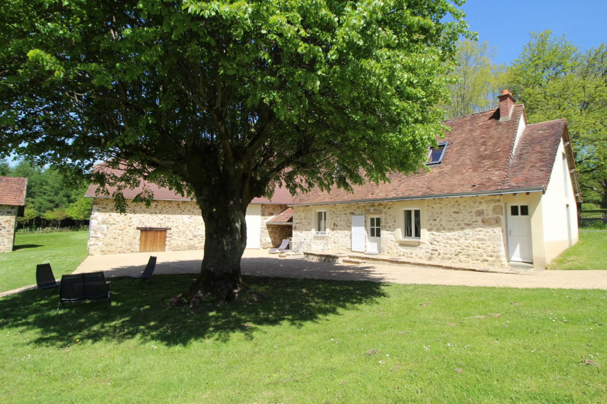 photo 0