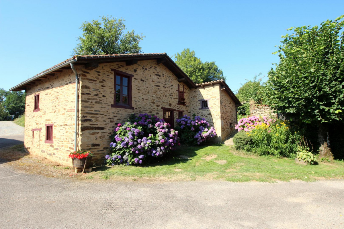 photo 0