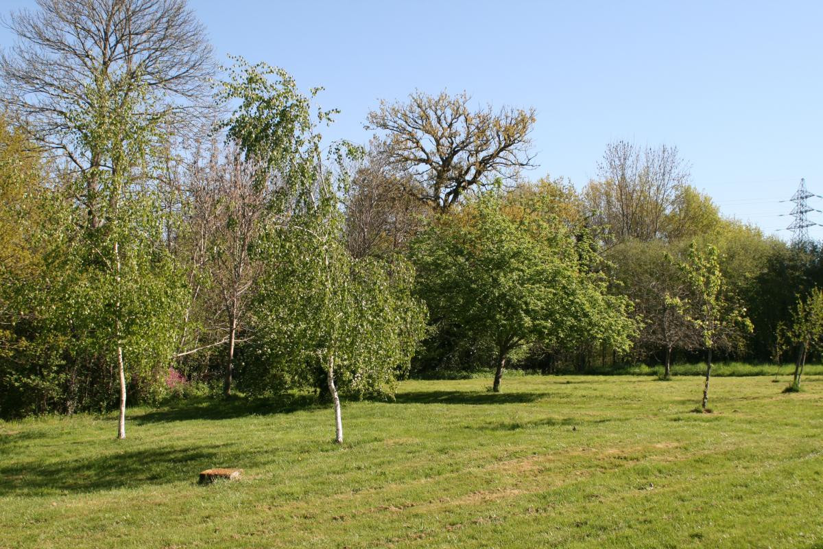 photo 37
