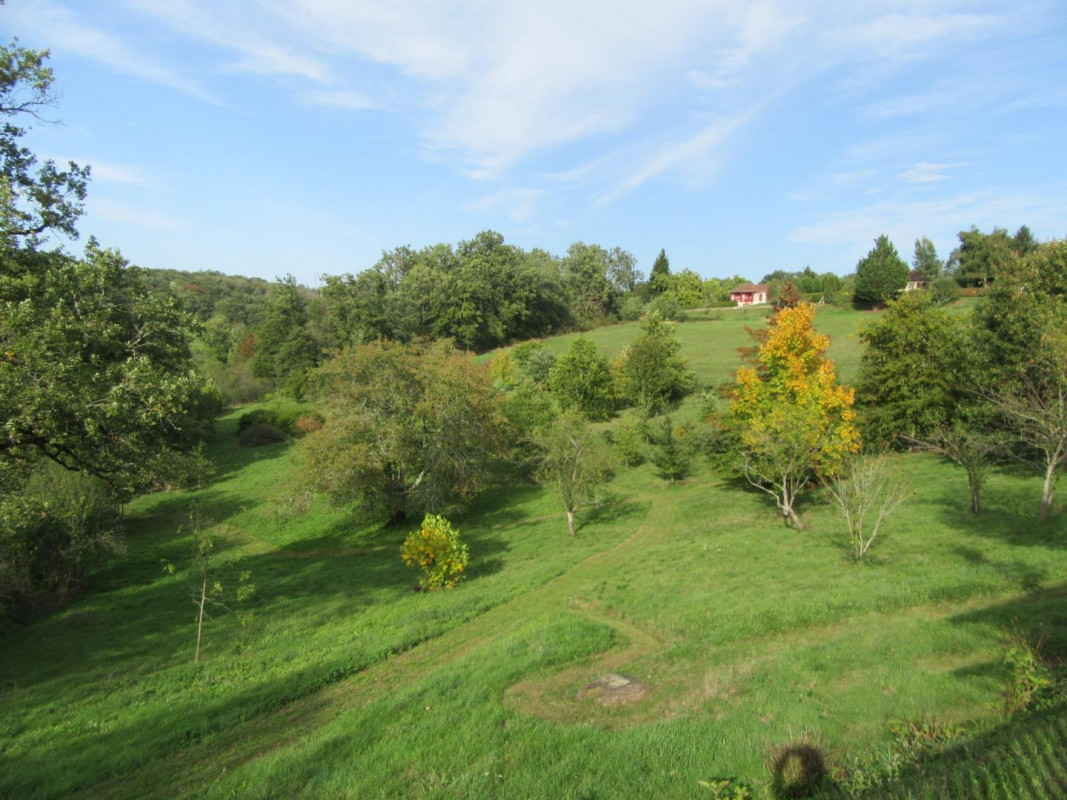 photo 34