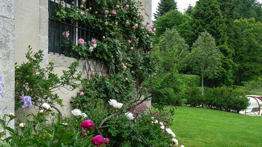 photo 51